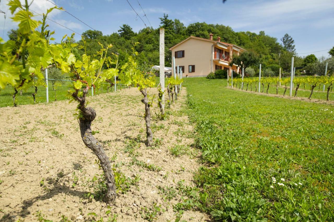 365 Apartma Labin (Istria)